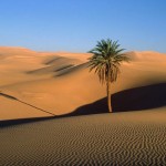 deserto